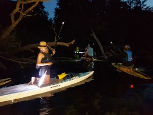 exploring the marchy channels SUP Toronto Island