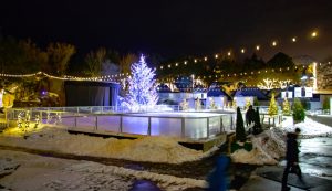 skating rink artifical ice Toronto ontario Place art exhibition 2018